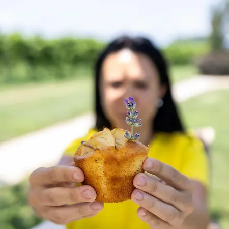 Çiftlik konaklama Da Zeffi Spresiano